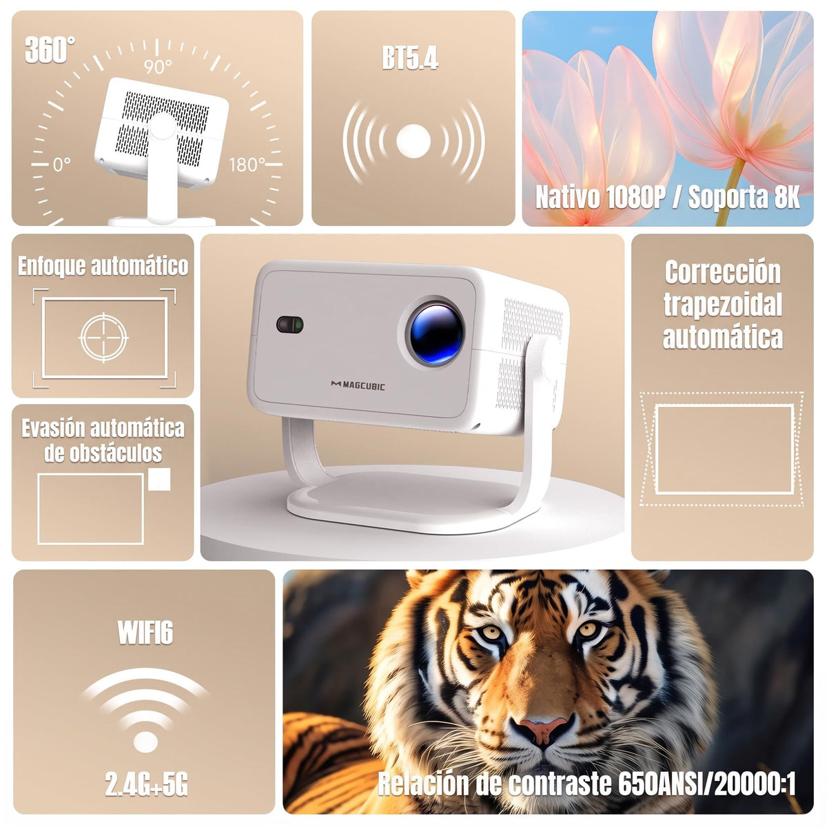 Pack Cine L018